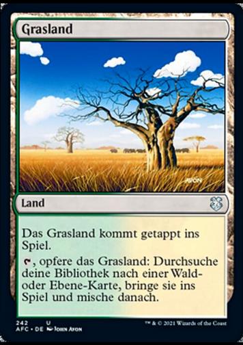 Grasland (Grasslands)